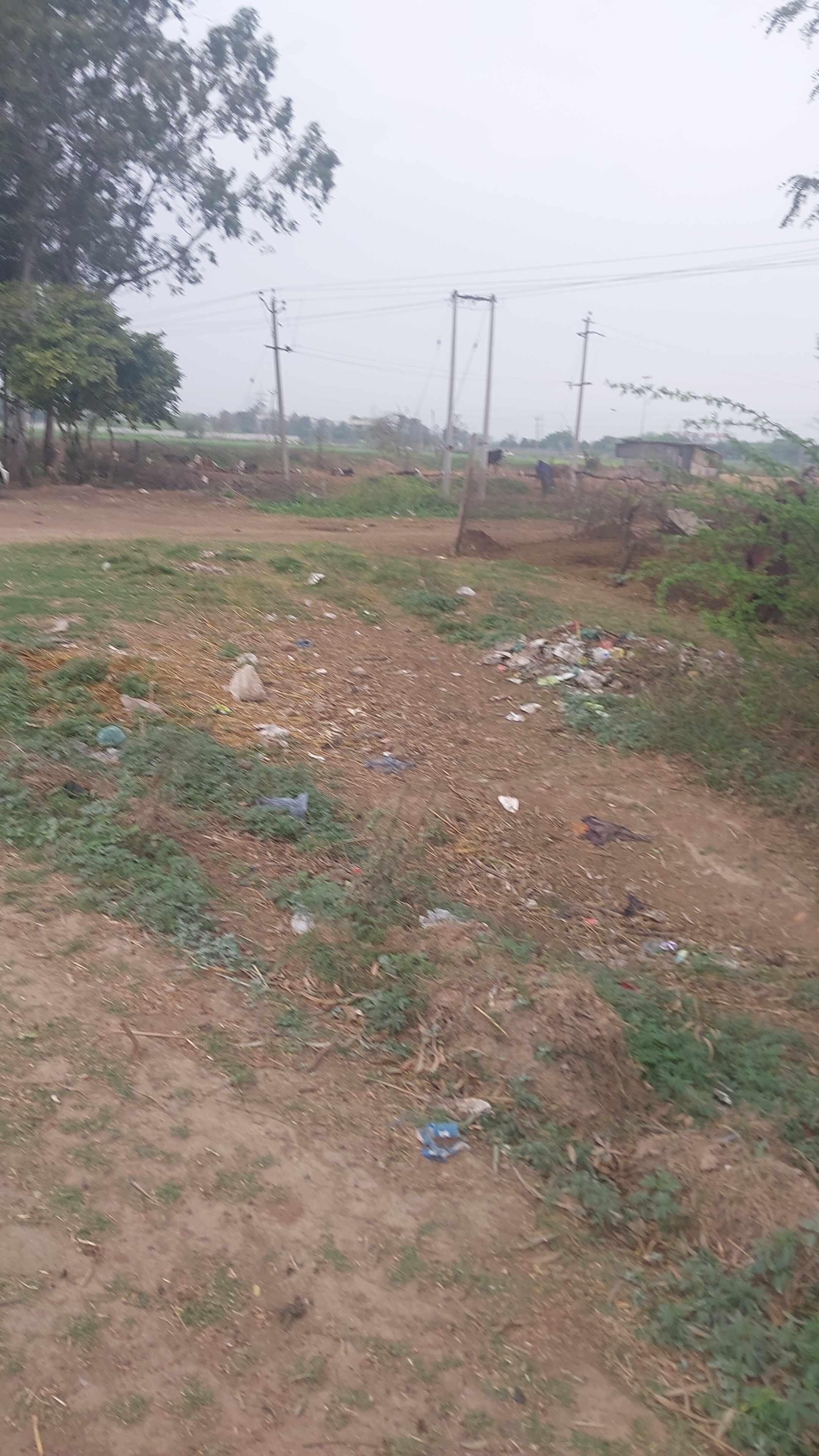 Plot For Sale in Basant City