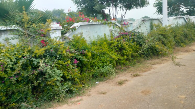 Garden, chhatikara  113 Sq.Yd. Plot In Chhatikara Vrindavan 8350452