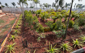 Plot For Sale in Sri Sai Pragathi Heights, Gosala