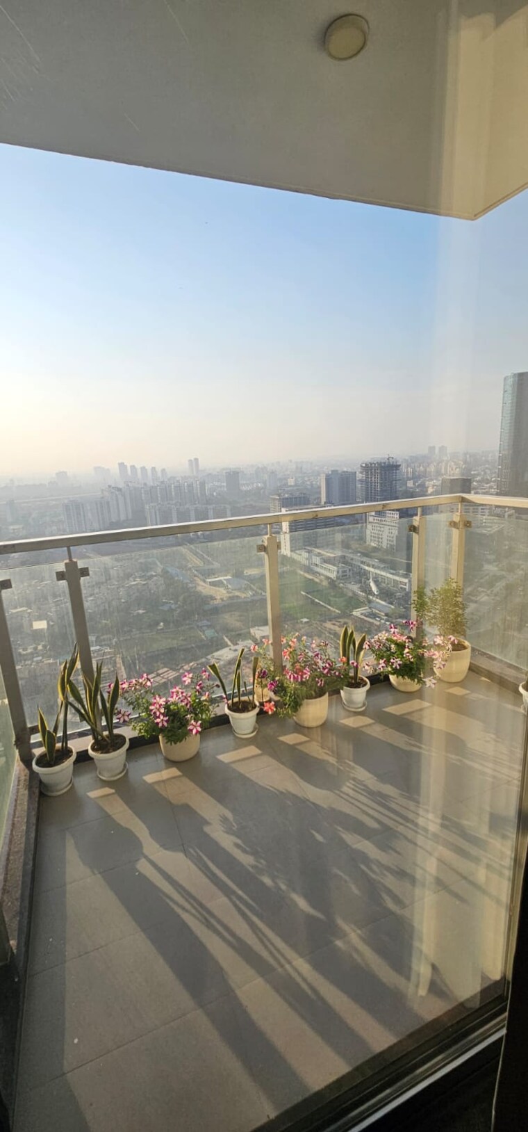 Swimming Pool, m3m-latitude 3 Bedroom 2380 Sq.Ft. Apartment In Sector 65 Gurgaon 8350754