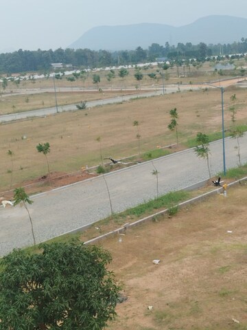 Plot Area in  Plot at Kothavalasa – for Sale