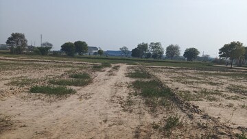 Plot Area in  Plot at Pirthla – for Sale