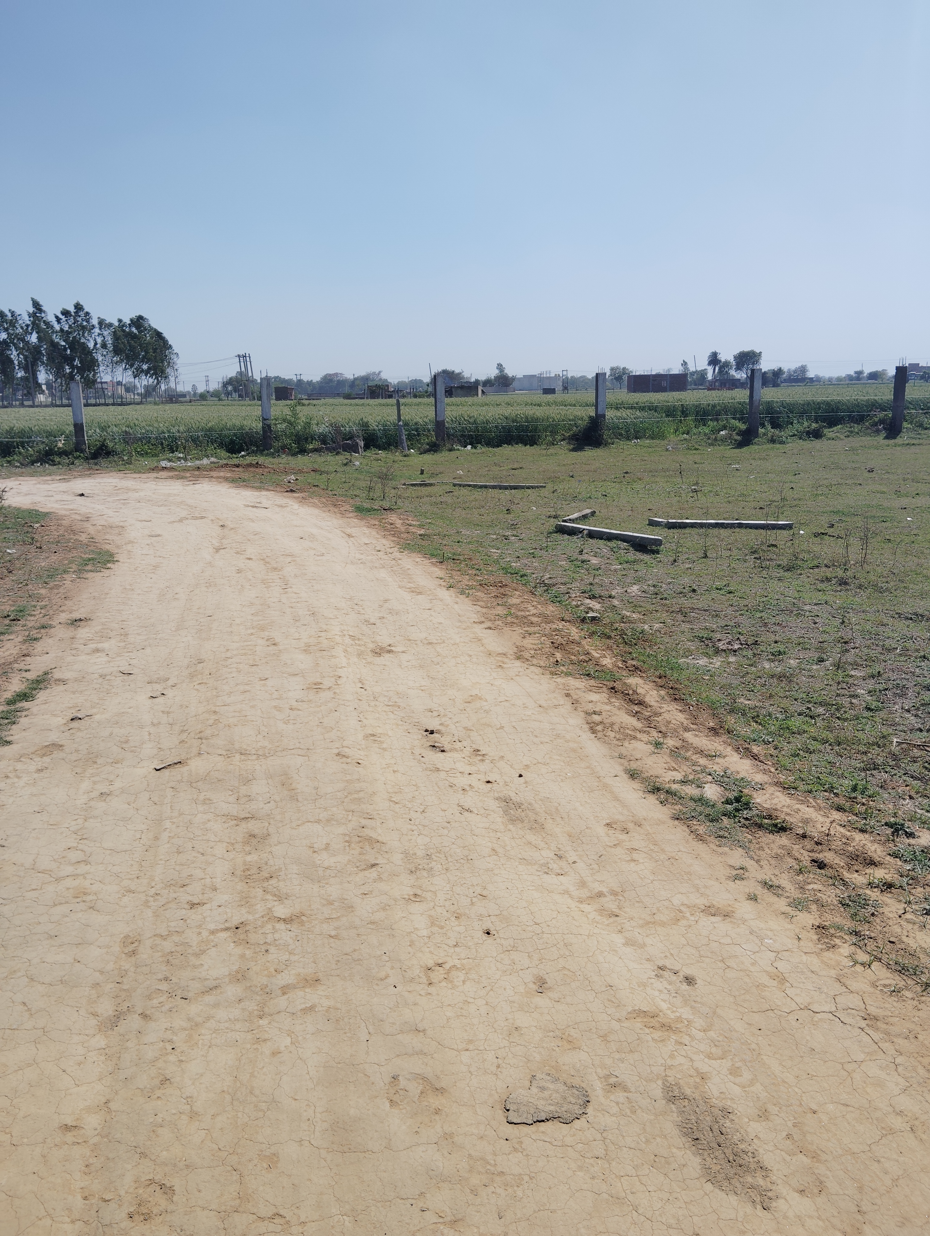 Plot For Sale in Dholera