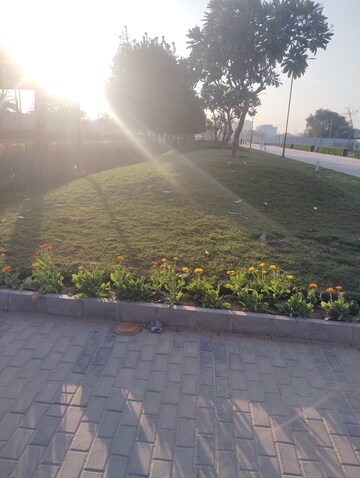 Plot – Exterior View View at Dholera - for Sale