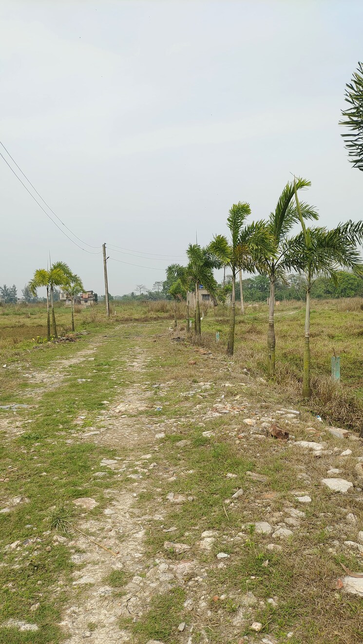 undefined, joka  1440 Sq.Ft. Plot In Joka Kolkata 8351558