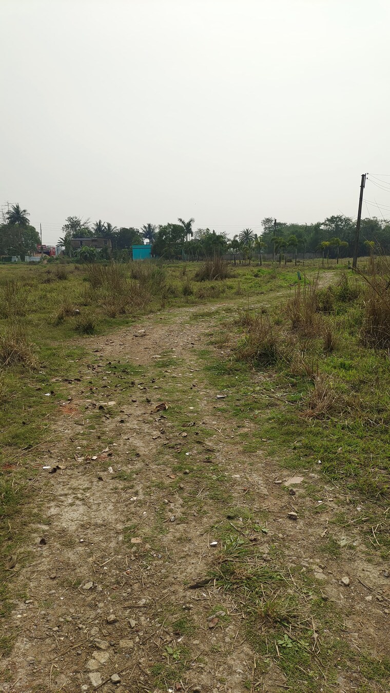 undefined, joka  1440 Sq.Ft. Plot In Joka Kolkata 8351558