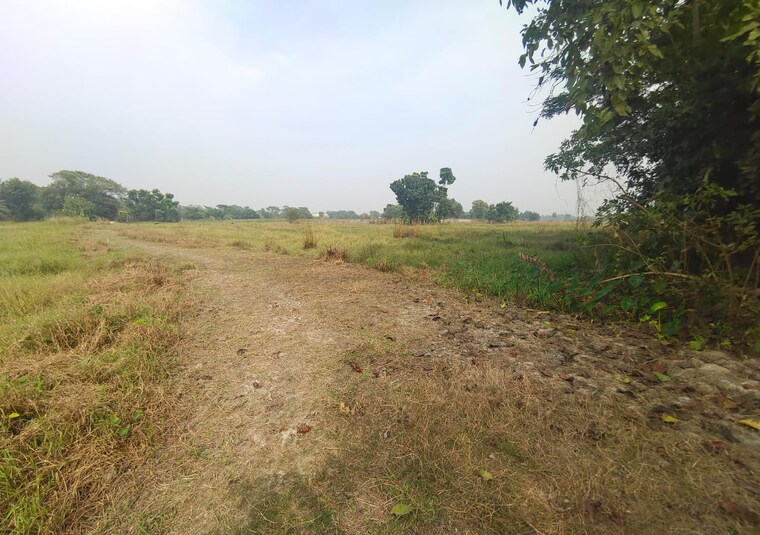 undefined, joka  1440 Sq.Ft. Plot In Joka Kolkata 8351571