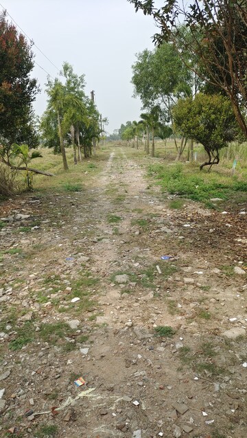 Plot Area in  Plot at Joka – for Sale