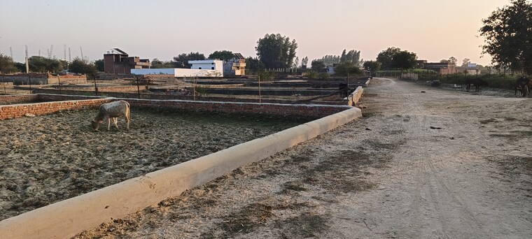 undefined, jankipuram extension  1500 Sq.Ft. Plot In Jankipuram Extension Lucknow 8351917