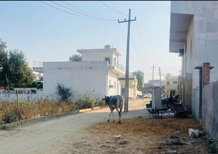 Exterior View, sultanpur  50 Sq.Yd. Plot In Sultanpur Gurgaon 8351939