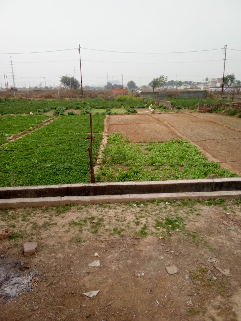Plot For Sale in Bhatola Muda Kheda