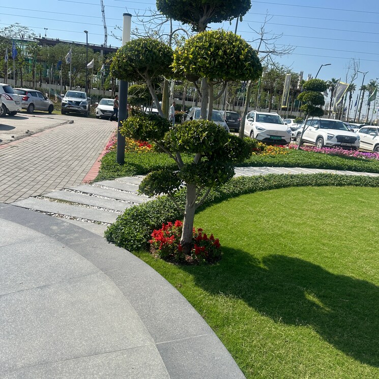 Garden, karbri village  140 Sq.Yd. Plot In Karbri Village Panipat 8351997