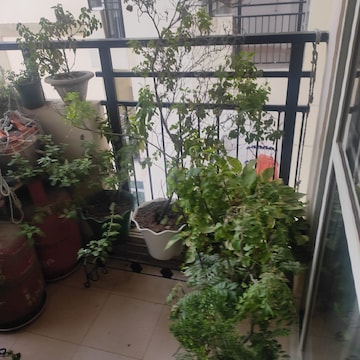 Balcony in 2 BHK Apartment at AWHO 8B, Vrindavan Yojna – for Rent