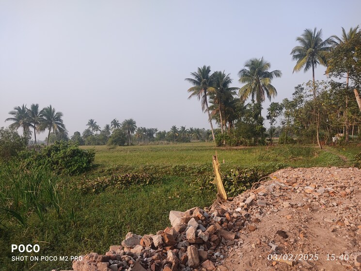 undefined, diamond harbour  2160 Sq.Ft. Plot In Diamond Harbour Kolkata 8353353