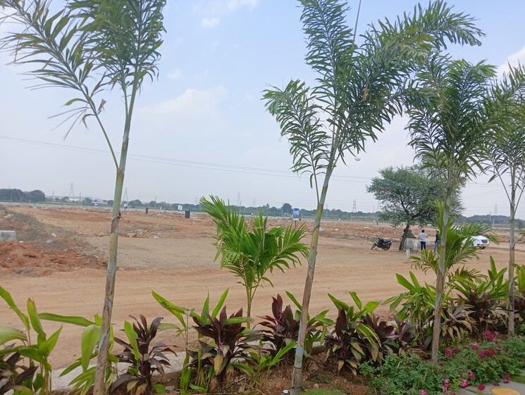 Garden, kadthal  200 Sq.Yd. Plot In Kadthal Hyderabad 8354070