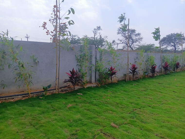 Garden, kadthal  200 Sq.Yd. Plot In Kadthal Hyderabad 8354070