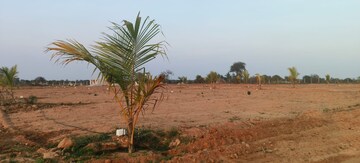  Plot – Exterior View View at Thummaloor - for Sale