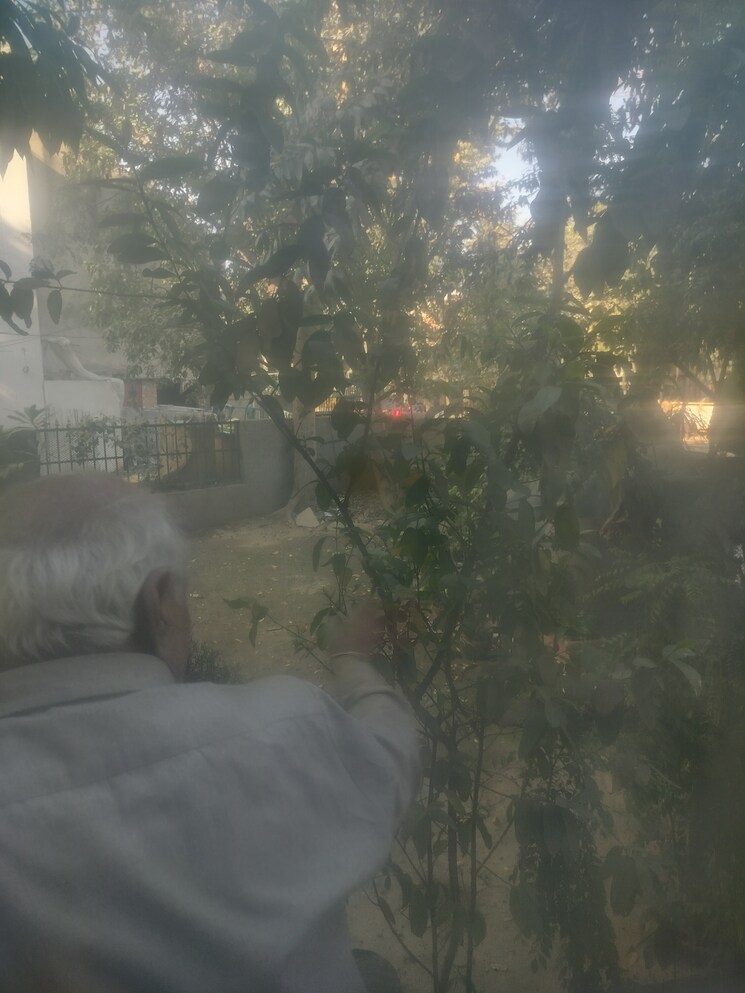 Garden, palam-vihar-residents-association 3.5 Bedroom 1500 Sq.Ft. Builder Floor In Palam Vihar Gurgaon 8354180