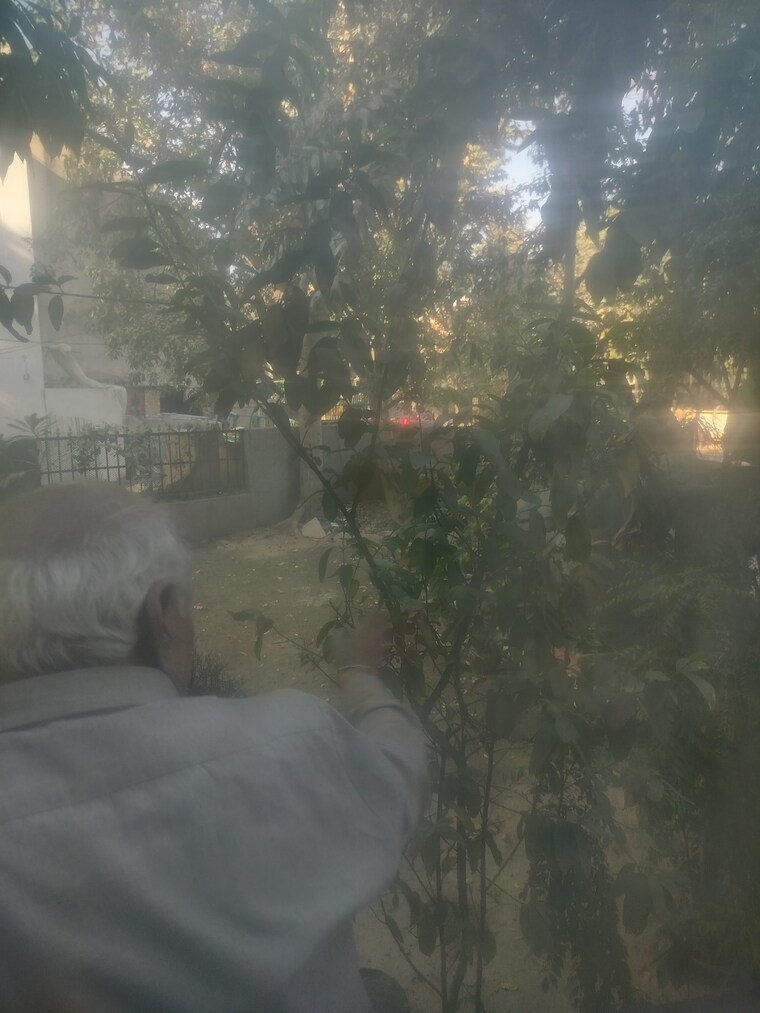 Garden, palam-vihar-residents-association 3.5 Bedroom 1500 Sq.Ft. Builder Floor In Palam Vihar Gurgaon 8354180