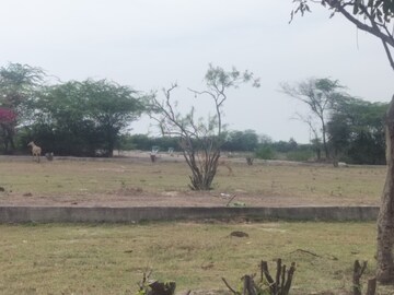 Plot Area in  Plot at Sector 144 – for Sale