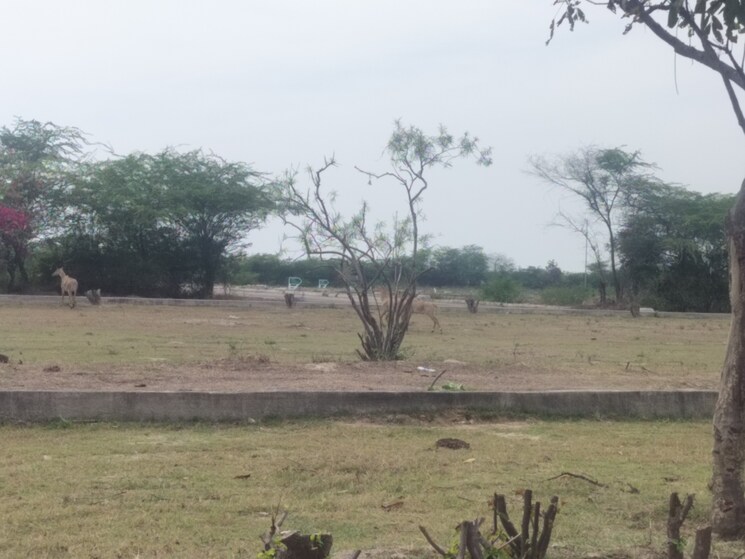 undefined, sector 144  100 Sq.Yd. Plot In Sector 144 Noida 8354539