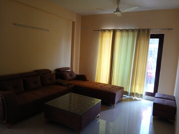 Living Room in 3 BHK Builder Floor at Sector 9 – for Rent
