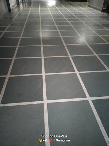 Balcony in 1 BHK Builder Floor at Sector 40 – for Rent