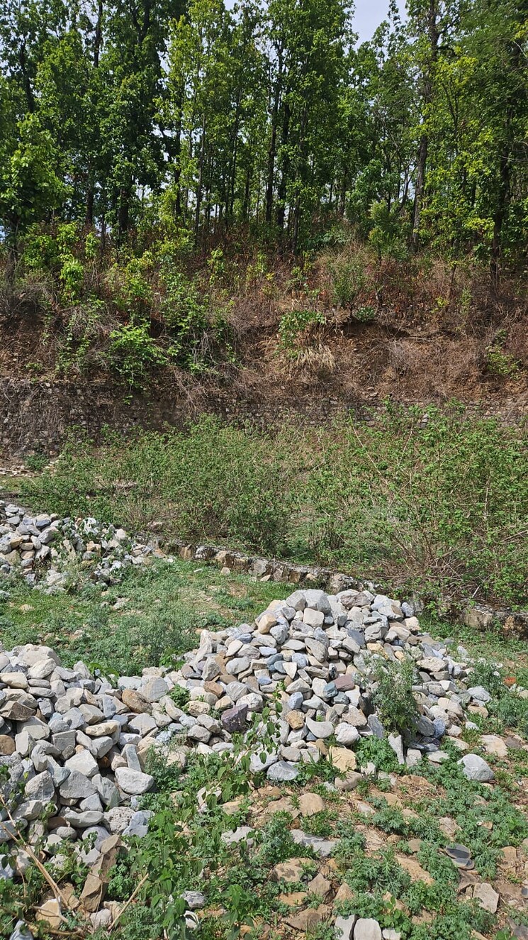 undefined, sahastradhara road  1275 Sq.Yd. Plot In Sahastradhara Road Dehradun 8354775