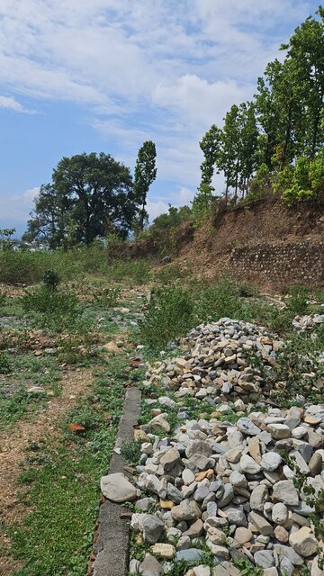 Plot Area in  Plot at Sahastradhara Road – for Sale