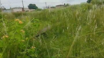 Plot Area in  Plot at Pundag – for Sale
