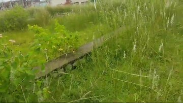 Plot Area in  Plot at Pundag – for Sale
