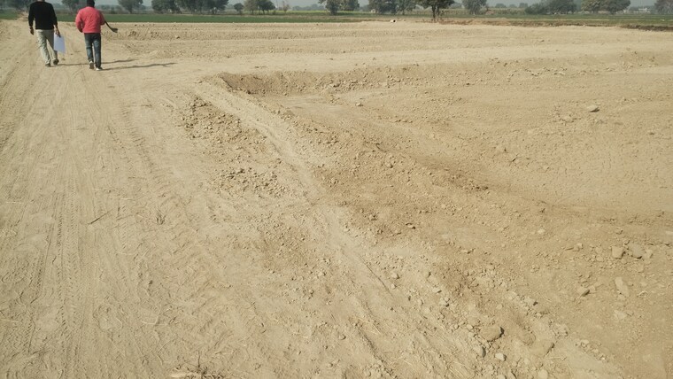 undefined, bamnikhera  130 Sq.Yd. Plot In Bamnikhera Palwal 8354857