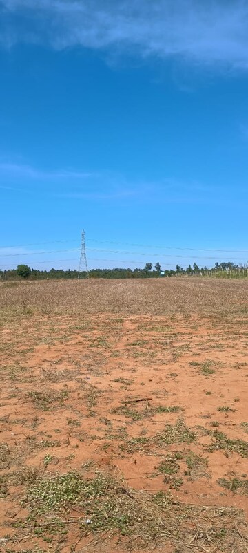  Plot For Sale in Rajanukunte