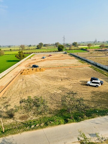 Plot Area in  Plot at New Dhan Mandi – for Sale