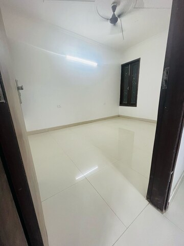 3 BHK Builder Floor For Rent in Saket