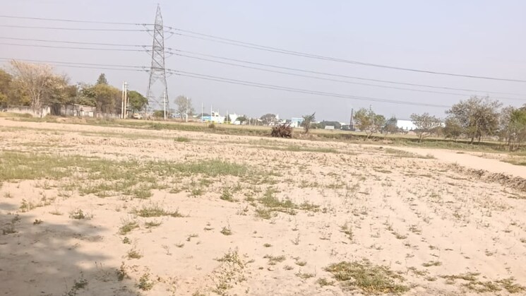 undefined, pirthla  100 Sq.Yd. Plot In Pirthla Faridabad 8355180