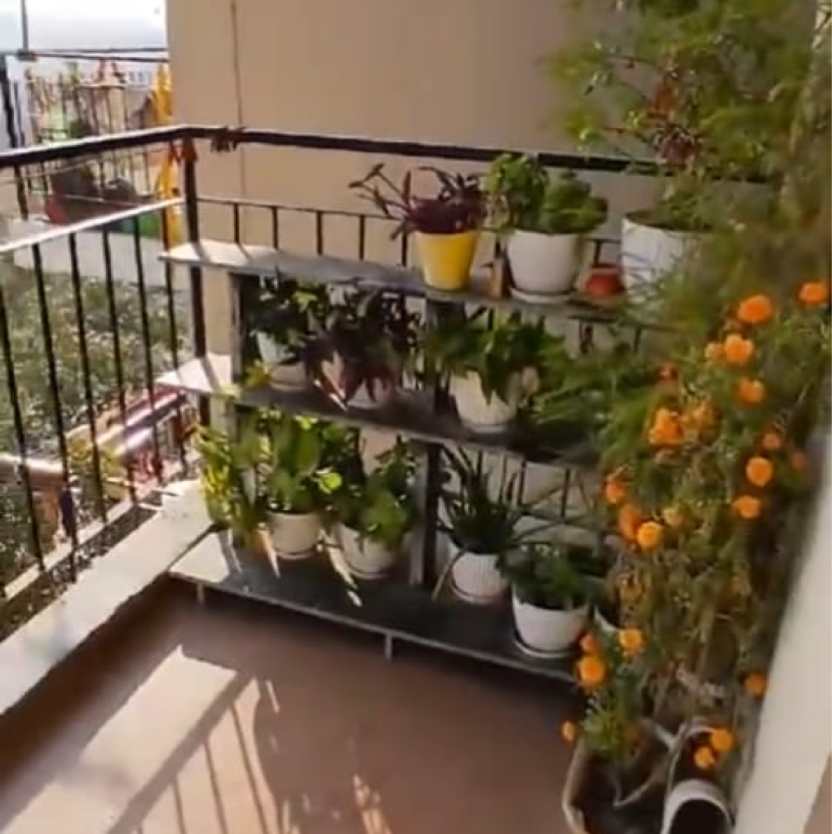 2.5 BHK + Pooja Room Apartment For Sale in ROF Ananda