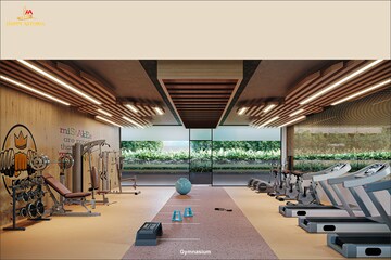 Gym in 4 BHK Apartment at Vesu – for Sale