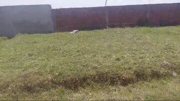 Plot Area in  Plot at Daladili – for Sale