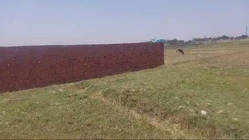 Plot Area in  Plot at Daladili – for Sale