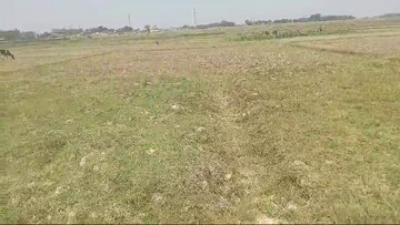 Plot Area in  Plot at Daladili – for Sale