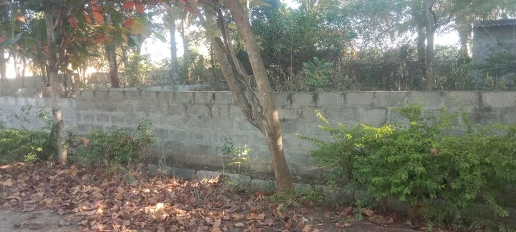 undefined, maralakunte  2000 Sq.Ft. Plot In Maralakunte Bangalore 8355787