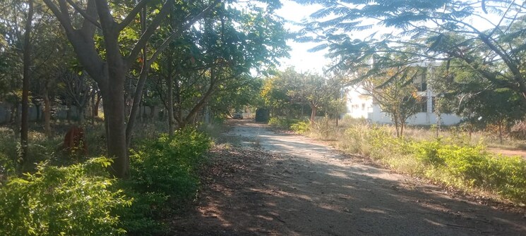 undefined, maralakunte  2000 Sq.Ft. Plot In Maralakunte Bangalore 8355787