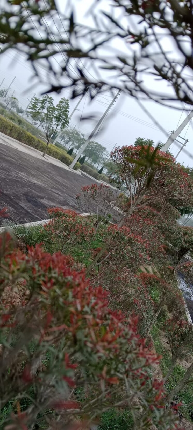 Garden, ujjain road  1200 Sq.Ft. Plot In Ujjain Road Indore 8355804