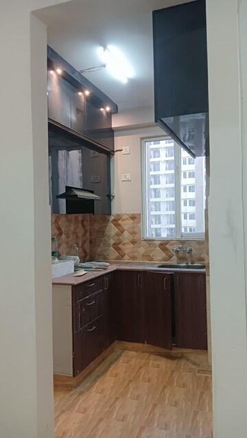2.5 BHK Apartment For Rent in Amrapali Golf Homes, Sector 4, Greater Noida