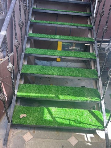 Staircase in  Pg at Sector 15 – for Rent