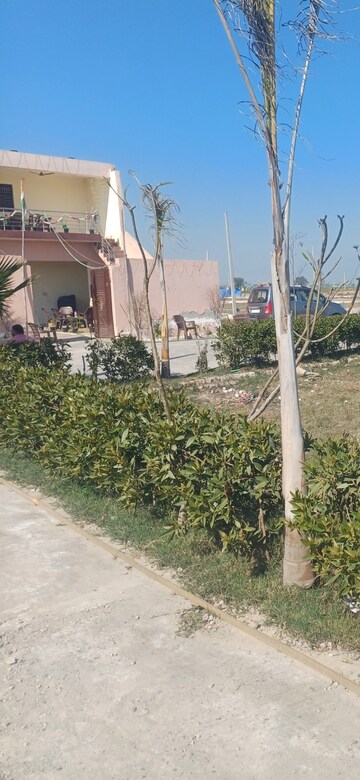  Plot – Exterior View View at Jewar - for Sale