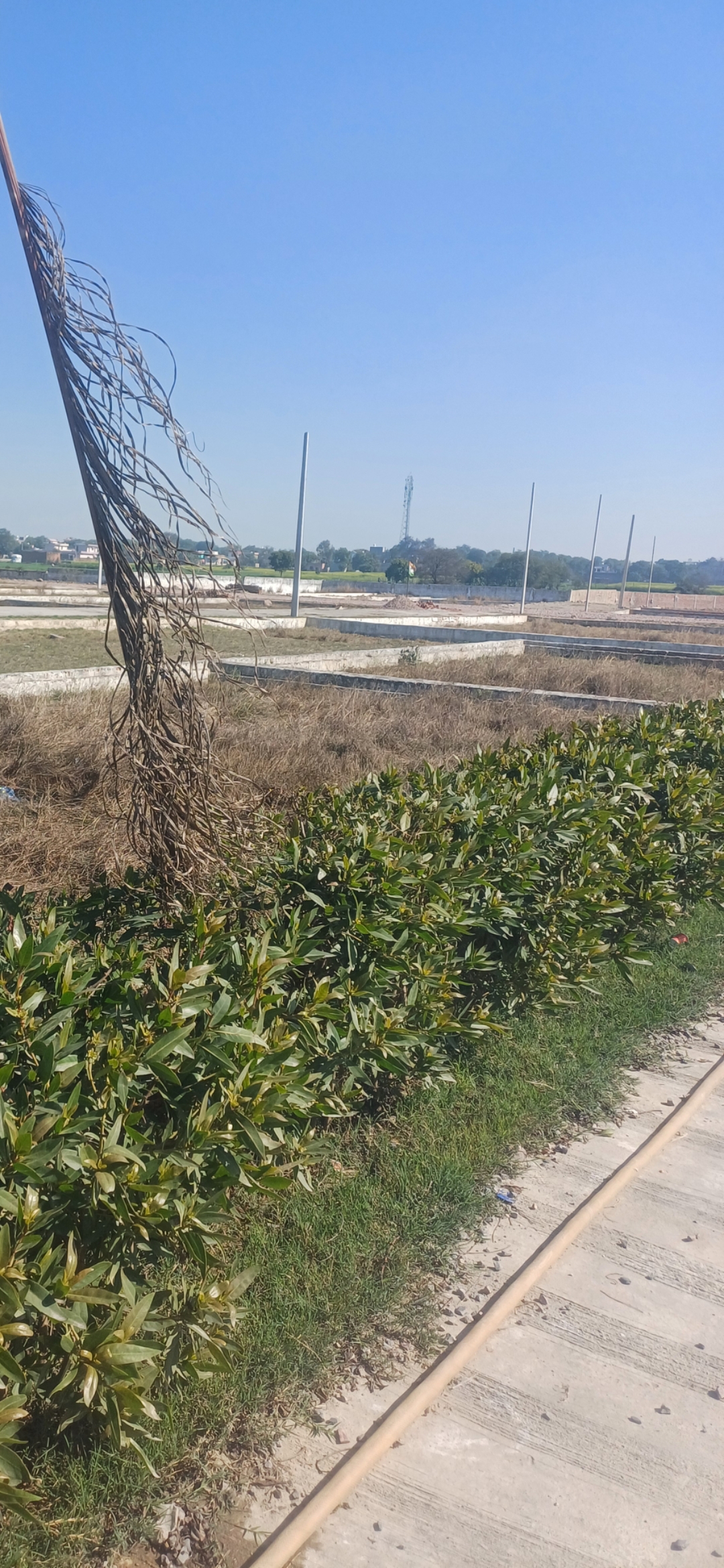 Plot For Sale in The Grand City 