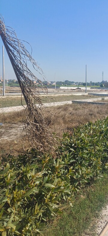 Plot Area in  Plot at Jewar – for Sale