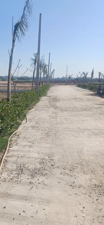  Plot For Sale in Jewar